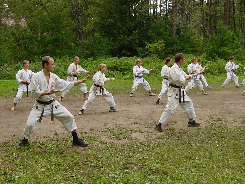 Heian Shodan 2.jpg